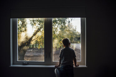 Rear view of boy looking through window in darkroom - CAVF59741