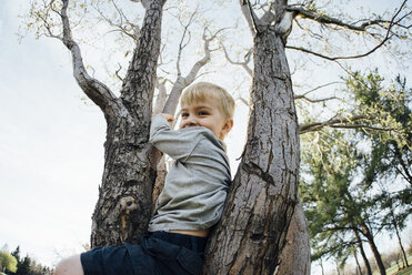 Low angle view of smiling boy sitting on tree against clear sky - CAVF59821