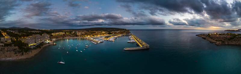 Mallorca, El Toro, Port Adriano zur blauen Stunde, Luftaufnahme - AMF06388