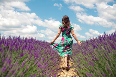 Frankreich, Provence, Hochebene von Valensole, Rückenansicht einer Frau, die im Sommer zwischen Lavendelfeldern spazieren geht - GEMF02670