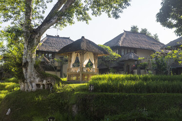 Indonesien, Bali, Ubud, Reisfelder im Kamandalu Ubud Resort - RUNF00383