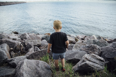 Rear view of boy standing at rocky beach - CAVF59922