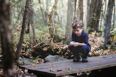 Boy playing with leaves while crouching on wooden plank during autumn at park - CAVF60013