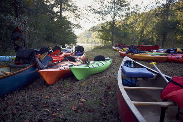 Colorful boats moored on grassy field at forest - CAVF60026