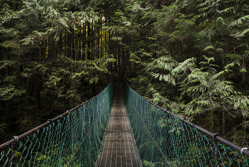 Fußgängerbrücke inmitten von Bäumen im Wald - CAVF60027