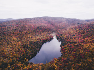 Hohe Winkel malerischen Blick auf See inmitten Wald gegen Himmel im Herbst - CAVF60168