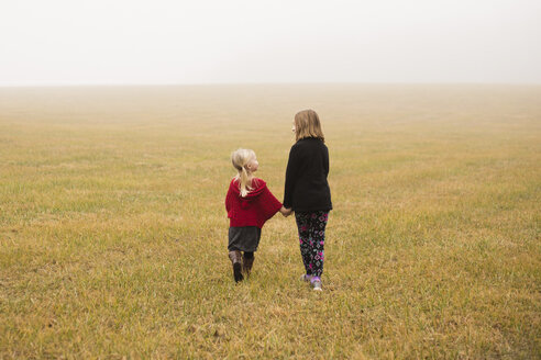 Rückansicht von Geschwistern, die bei nebligem Wetter auf einem Feld laufen - CAVF60303