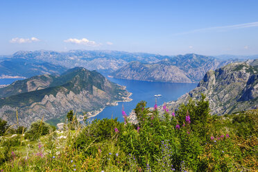 Montenegro, Bucht von Kotor, Muo und Prcanj - SIEF08178