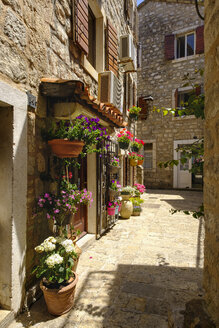 Montenegro, Budva, Altstadt, Gasse - SIEF08182