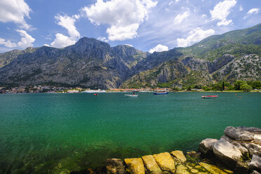 Montenegro, Bucht von Kotor, Kotor - SIEF08187