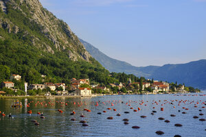 Montenegro, Bucht von Kotor, Ljuta - SIEF08188