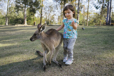 Australien, Brisbane, Porträt eines kleinen Mädchens, das ein zahmes Känguru streichelt - GEMF02674