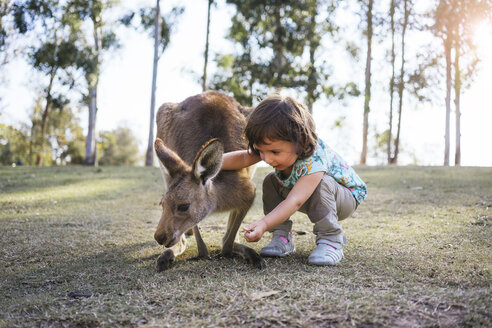 Australien, Brisbane, kleines Mädchen füttert Känguru - GEMF02676