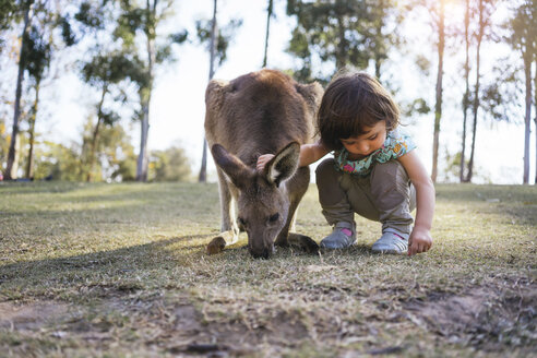 Australien, Brisbane, kleines Mädchen kauert neben einem zahmen Känguru - GEMF02677