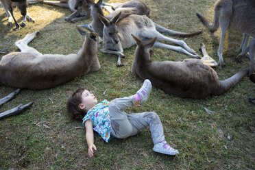 Australien, Brisbane, kleines Mädchen liegt auf einer Wiese mit einer Gruppe zahmer Kängurus - GEMF02682