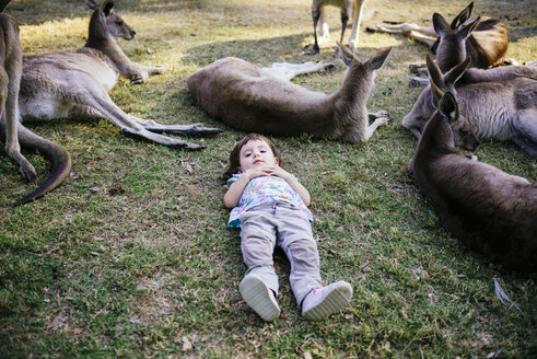 Australien, Brisbane, kleines Mädchen liegt auf einer Wiese zwischen einer Gruppe zahmer Kängurus - GEMF02683