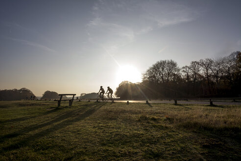 United Kingdom, England, London, Cyclists in Richmond Park against morning sun - LMJF00067