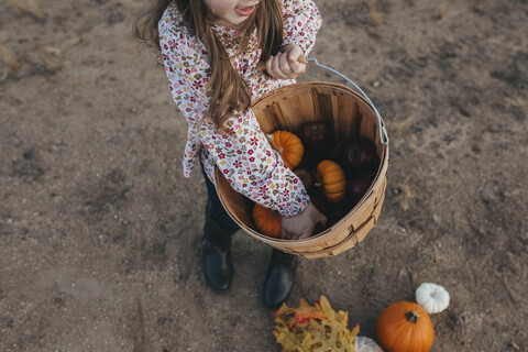 Hohe Winkelansicht von Mädchen hält Korb mit Kürbissen und Äpfeln, während sie auf einem Feld im Herbst stehen, lizenzfreies Stockfoto