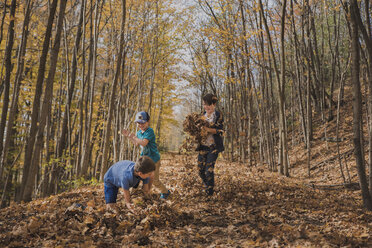 Brüder spielen auf Blättern auf einem Feld inmitten von Bäumen im Herbst - CAVF60342