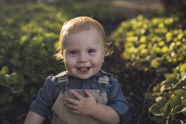 Portrait of happy baby boy standing against plants at park during sunset - CAVF60401