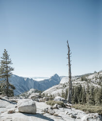 Aussicht auf Wald und Berge bei klarem Himmel im Yosemite-Nationalpark - CAVF60425