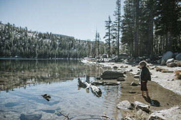 Seitenansicht eines Jungen, der an einem sonnigen Tag im Yosemite National Park im See steht - CAVF60427