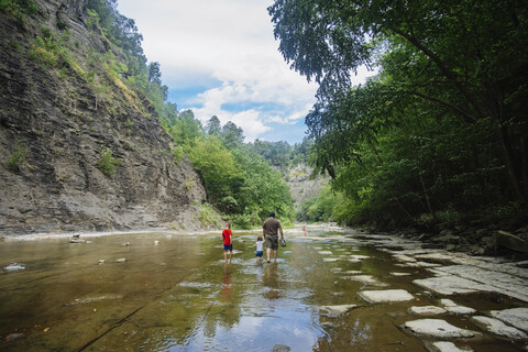 Rückansicht einer Familie, die im Fluss im Wald spazieren geht, lizenzfreies Stockfoto