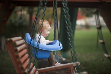Cute baby boy swinging at park - CAVF60435