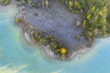 Germany, Bavaria, Upper Bavaria, Fuenfseenland, Aerial view of Lake Starnberg, reed belt and forest edge - SIEF08216