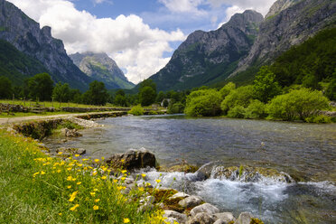 Montenegro, Adriatic coast, - SIEF08223