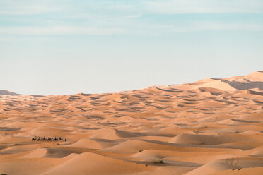 Blick auf die Wüste von Merzouga gegen den Himmel - CAVF60507