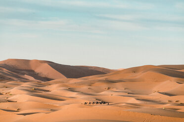 Menschen mit Kamelen in der Wüste von Merzouga gegen den Himmel - CAVF60508