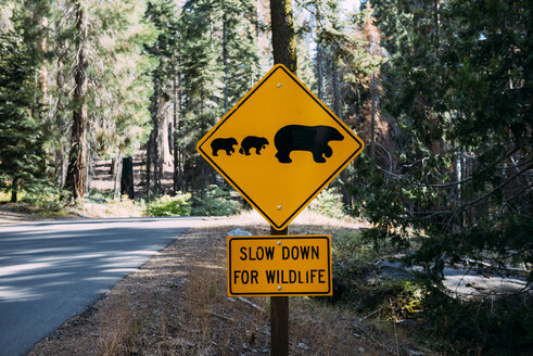 USA, California, Sequoia Natioal Park, Animal Crossing Sign, family of mum and baby bears - GEMF02691