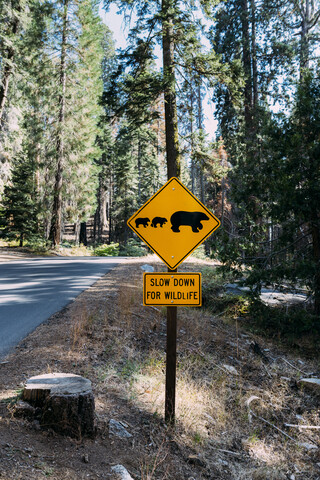 USA, Kalifornien, Sequoia Natioal Park, Animal Crossing Schild, Bärenfamilie mit Mutter und Baby, lizenzfreies Stockfoto