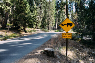 USA, Kalifornien, Sequoia Natioal Park, Animal Crossing Schild, Bärenfamilie mit Mutter und Baby - GEMF02693