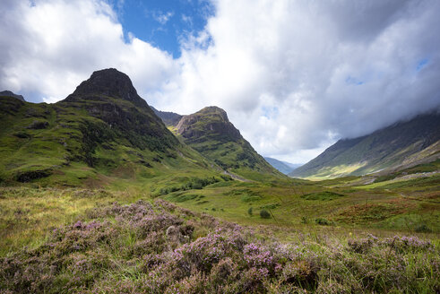 Great Britain, Scotland, Scottish Highlands, Glen Coe - ELF01989