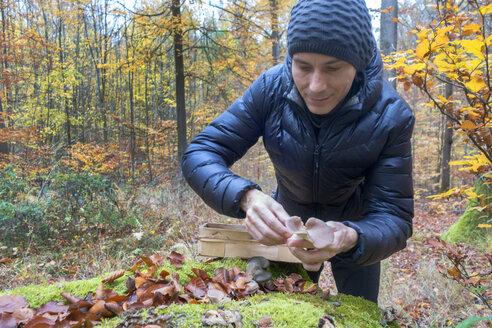 Deutschland, Bayern, zufriedener Mann beim Pilzesammeln im Gramschatzer Wald im Herbst - NDF00841