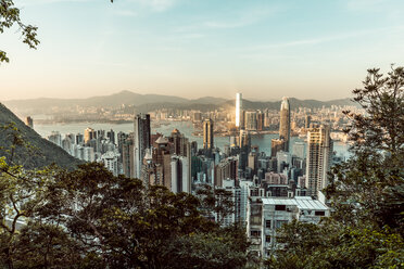 Hong Kong, Causeway Bay, cityscape - DAWF00779