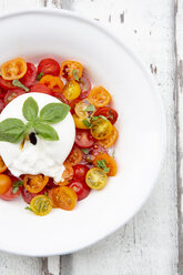 Teller mit Tomatensalat und Burrata - LVF07600