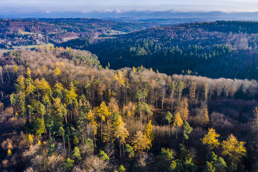 Deutschland, Baden-Württemberg, Schwäbischer Wald, Nassachtal, Luftaufnahme eines Waldes im Herbst - STSF01813