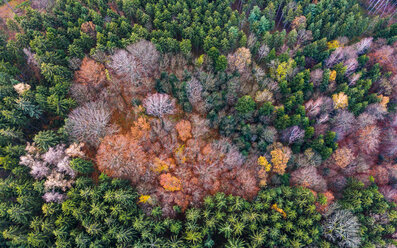 Deutschland, Baden-Württemberg, Schwäbischer Wald, Filstal, Luftaufnahme eines Waldes im Herbst - STSF01816