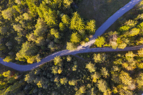 Germany, Upper Bavaria, Aerial view of fork path near Gaissach - SIEF08230