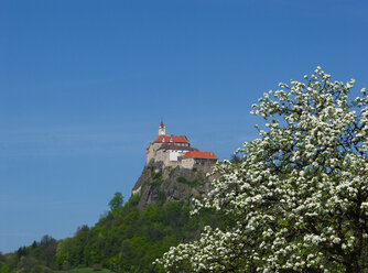 Österreich, Steiermark, - WWF04558