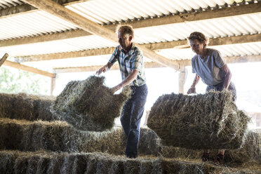 Two farmers stacking hay bales in a barn. - MINF09729