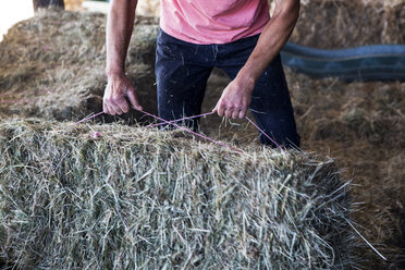 Landwirt stapelt Heuballen in einer Scheune. - MINF09732