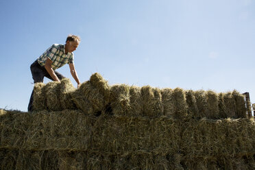 Landwirt stapelt Heuballen auf einem Anhänger. - MINF09741