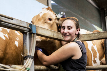 Young woman wearing apron standing in a milking shed with Guernsey cows. - MINF09785