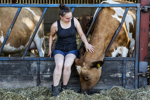Junge Frau sitzt in einem Stall und streichelt den Kopf einer Guernsey-Kuh. - MINF09796