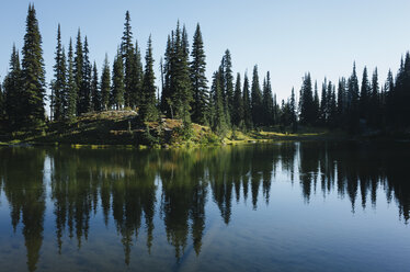 Sheep Lake and pristine alpine forest in autumn, Mt. Baker-Snoqualmie National Forest, Washington - MINF09803