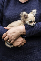 Frau hält einen kleinen Hund im Arm. - MINF09818